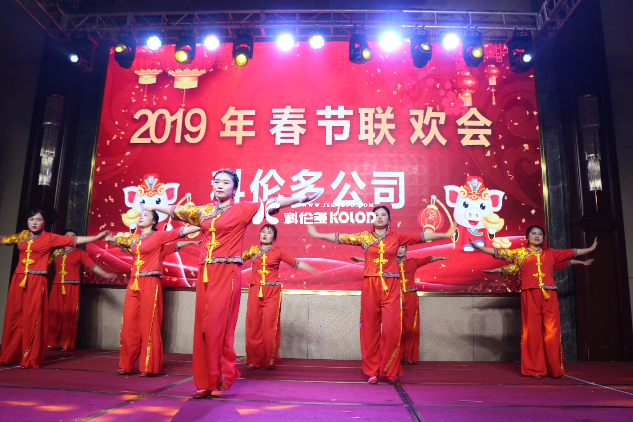 凱歌高奏辭舊歲，豪情滿懷迎新年 （科倫多隆重舉行2019春節(jié)聯(lián)歡晚會）