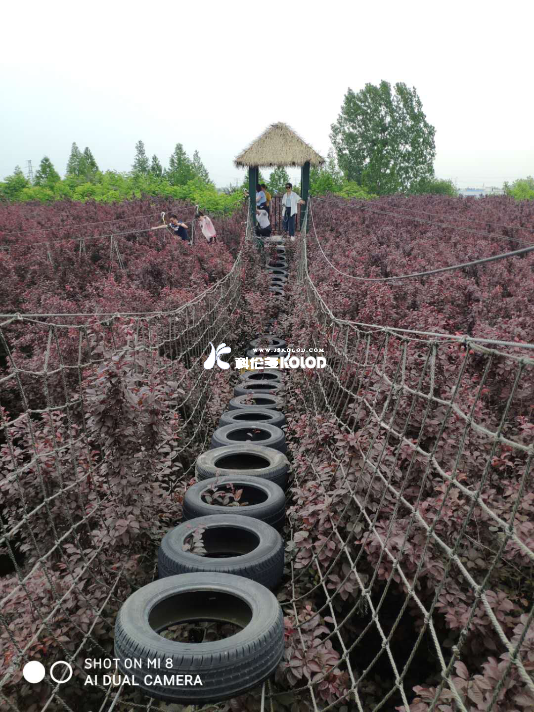 追求卓越團(tuán)隊(duì)、鑄造優(yōu)秀團(tuán)隊(duì)、共創(chuàng)企業(yè)輝煌 （江蘇科倫多赴兆隆林海灣叢林樂園開展團(tuán)建活動(dòng)）