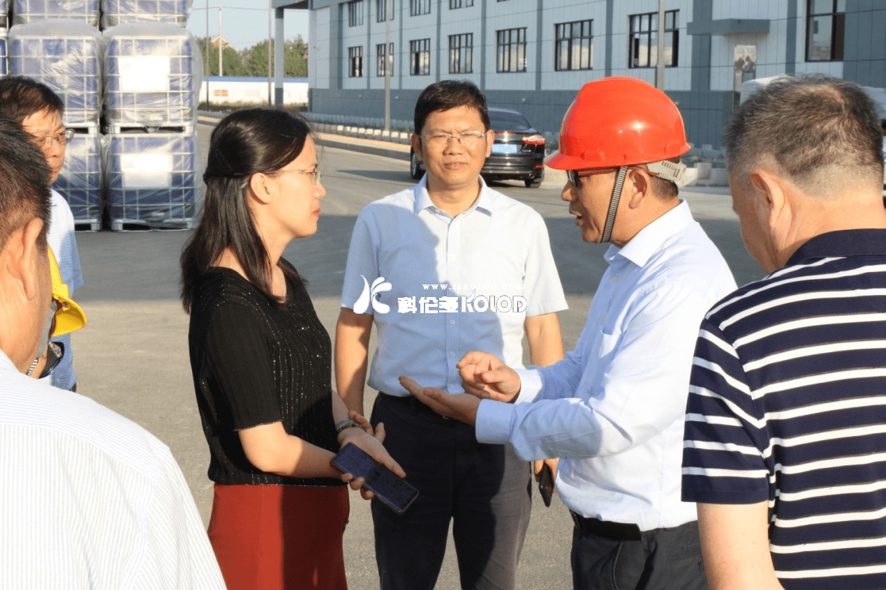 灌云縣委副書記、代縣長曹明麗蒞臨科洛吉公司檢查指導(dǎo)工作